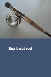 Sea trout rod