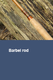 Barbel rod (report 5)