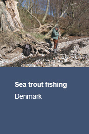 Preparing for sea trout fishing at the Danish coast